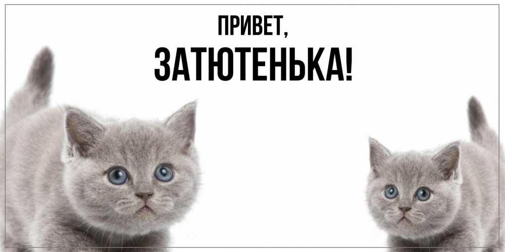 Открытка  для любимых и родных. затютенька, Привет  