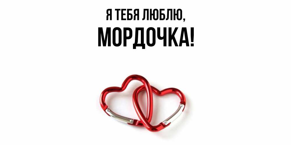 Открытка  для любимых и родных. мордочка, Я тебя люблю  