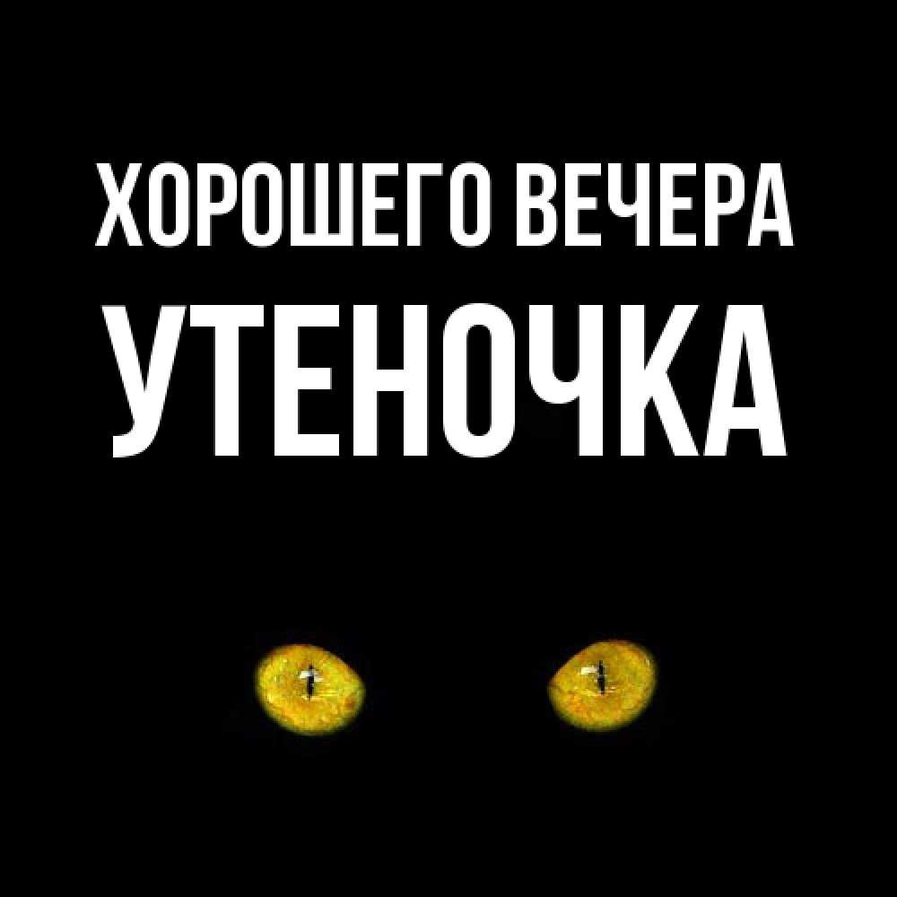 Открытка  для любимых и родных. утеночка, Хорошего вечера  