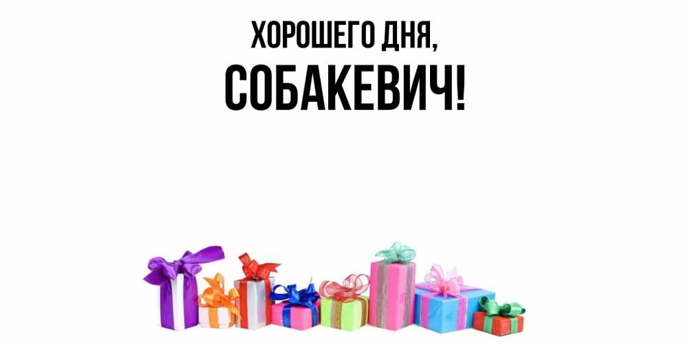 Открытка  для любимых и родных. собакевич, Хорошего дня  