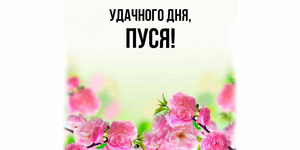 Открытка  для любимых и родных. пуся, Удачного дня  