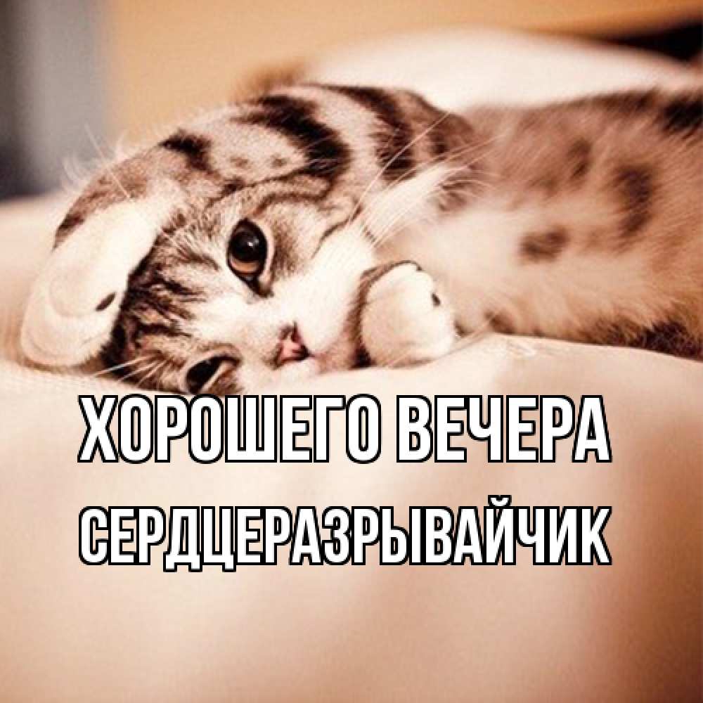 Открытка  для любимых и родных. сердцеразрывайчик, Хорошего вечера  