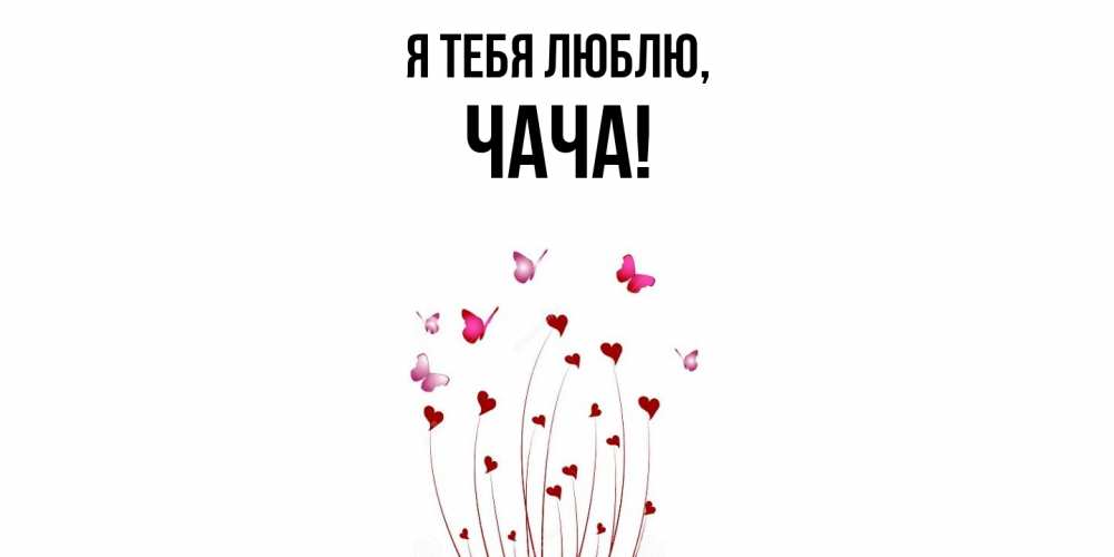 Открытка  для любимых и родных. чача, Я тебя люблю  
