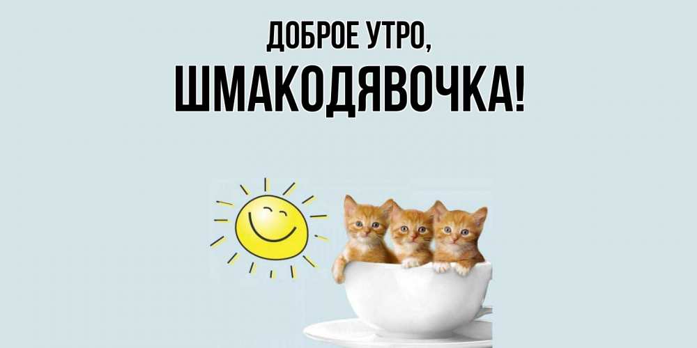 Открытка  для любимых и родных. шмакодявочка, Доброе утро  