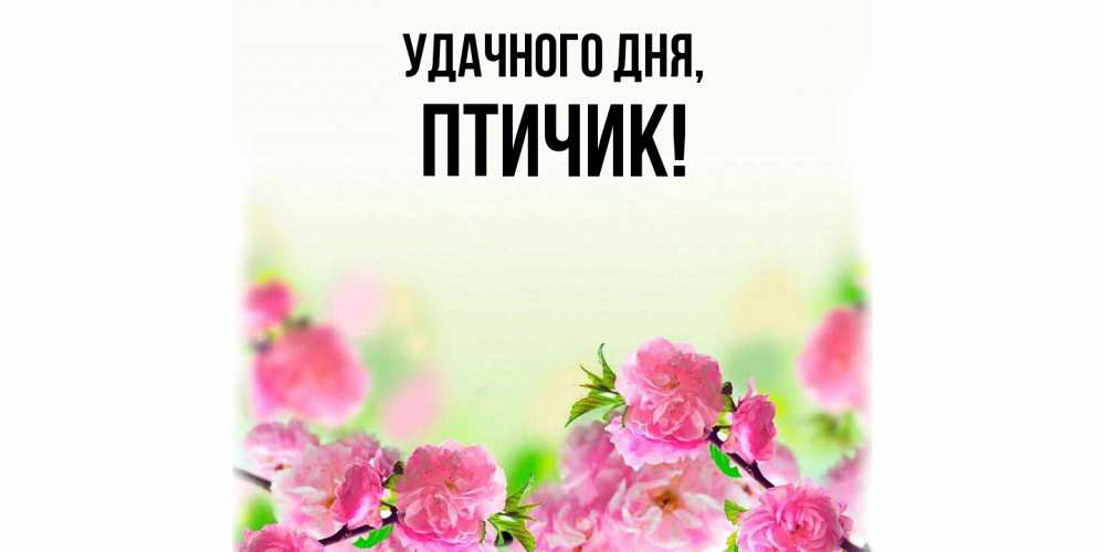 Открытка с именем, птичик, Удачного дня