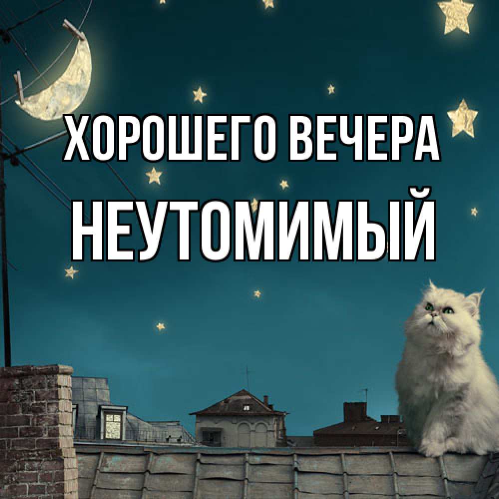 Картинка Хорошего вечера, неутомимый