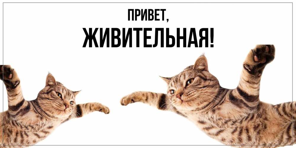 Открытка с именем, живительная, Привет