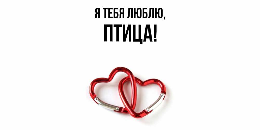 Открытка  для любимых и родных. птица, Я тебя люблю  