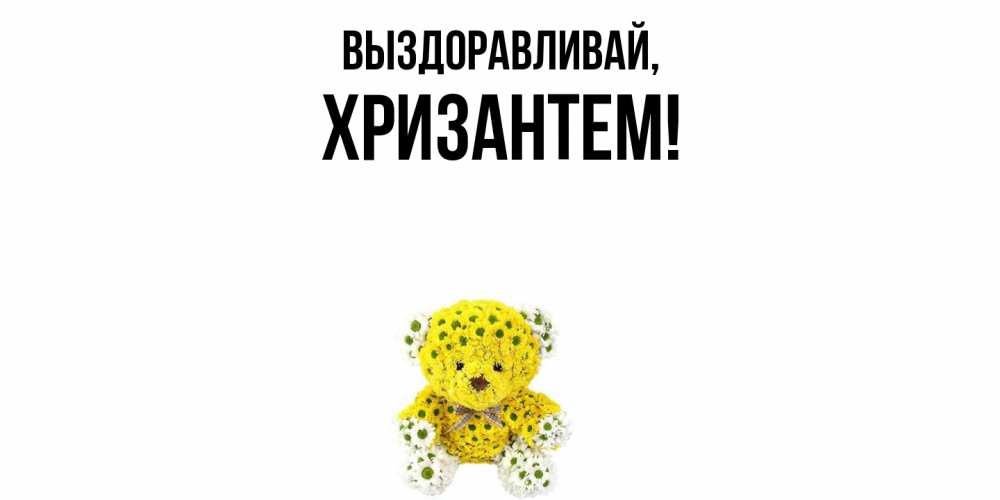 Открытка  для любимых и родных. хризантем, Выздоравливай  