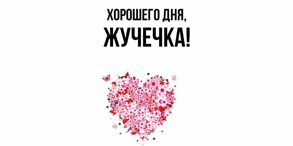 Открытка  для любимых и родных. жучечка, Хорошего дня  