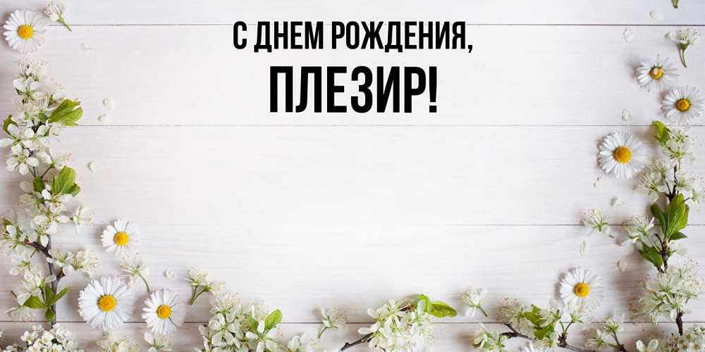 Картинка С днем рождения, плезир