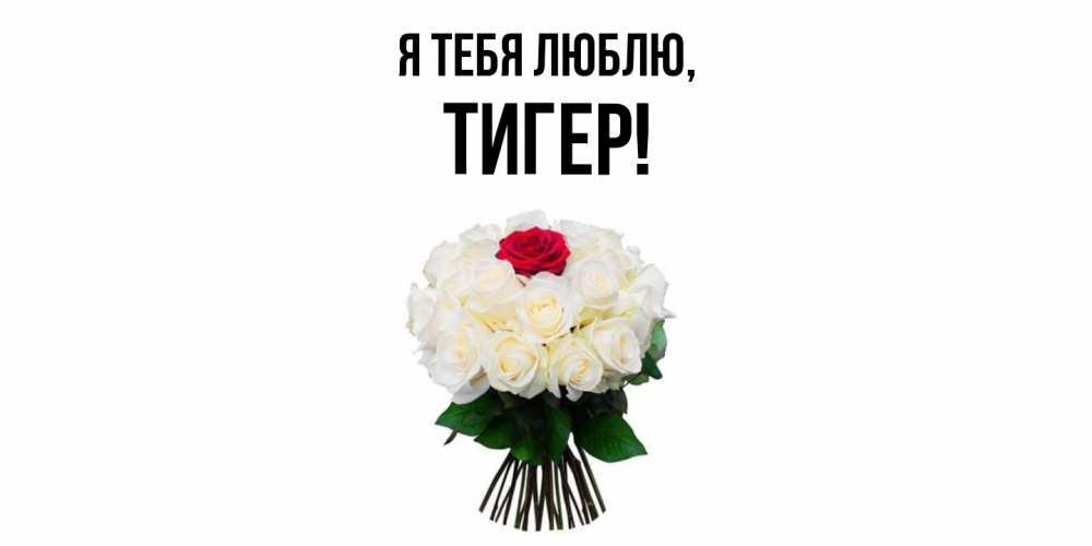 Открытка  для любимых и родных. тигер, Я тебя люблю  