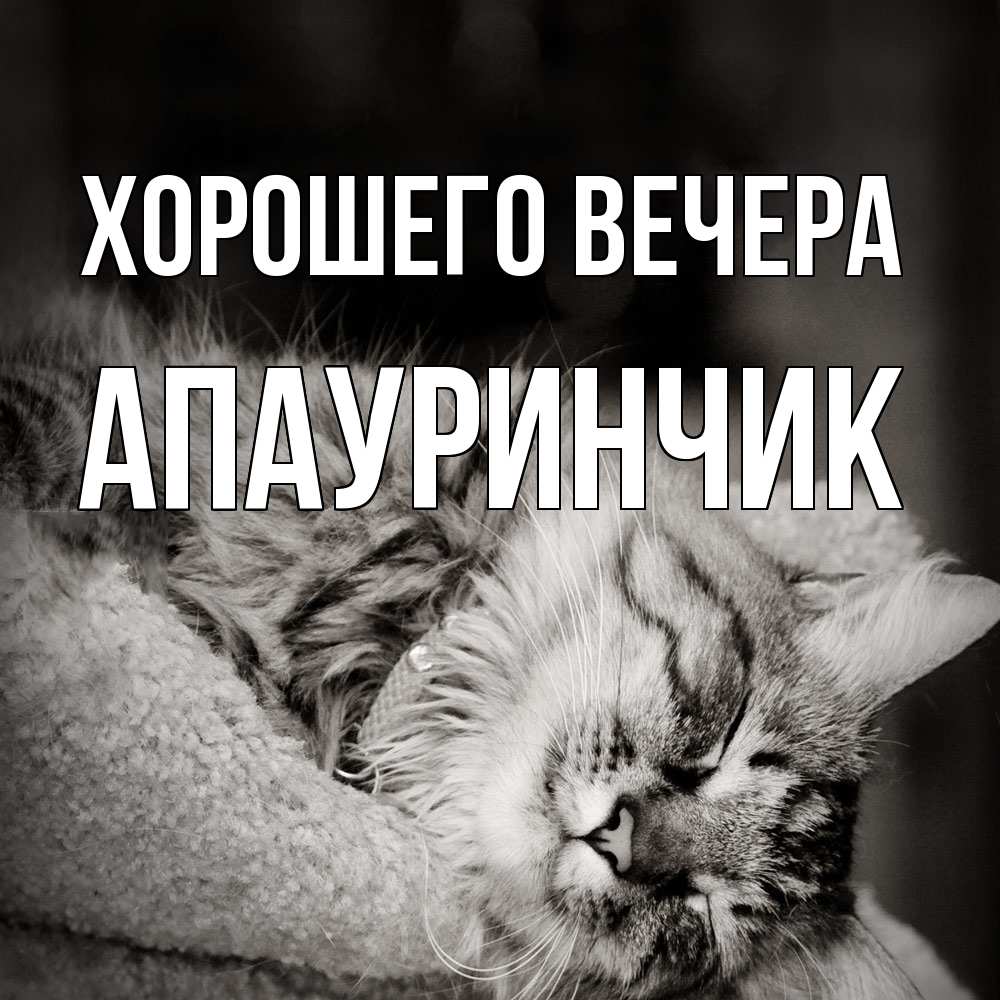 Открытка с именем, апауринчик, Хорошего вечера