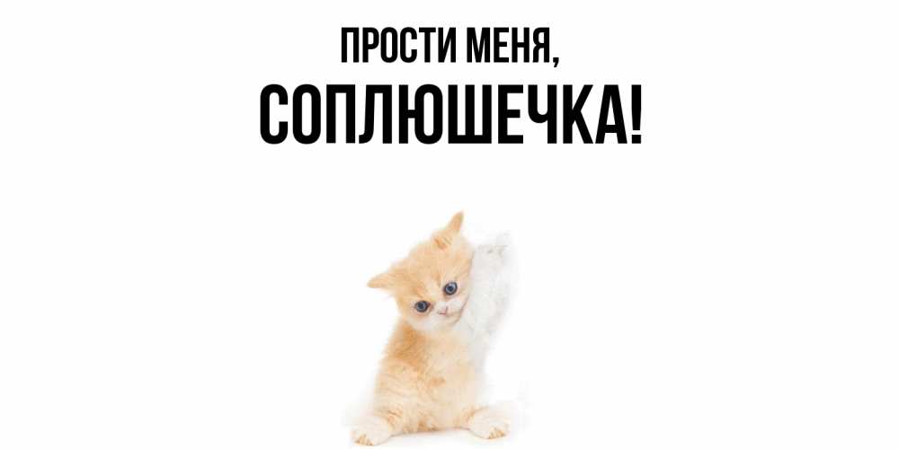 Открытка  для любимых и родных. соплюшечка, Прости меня  