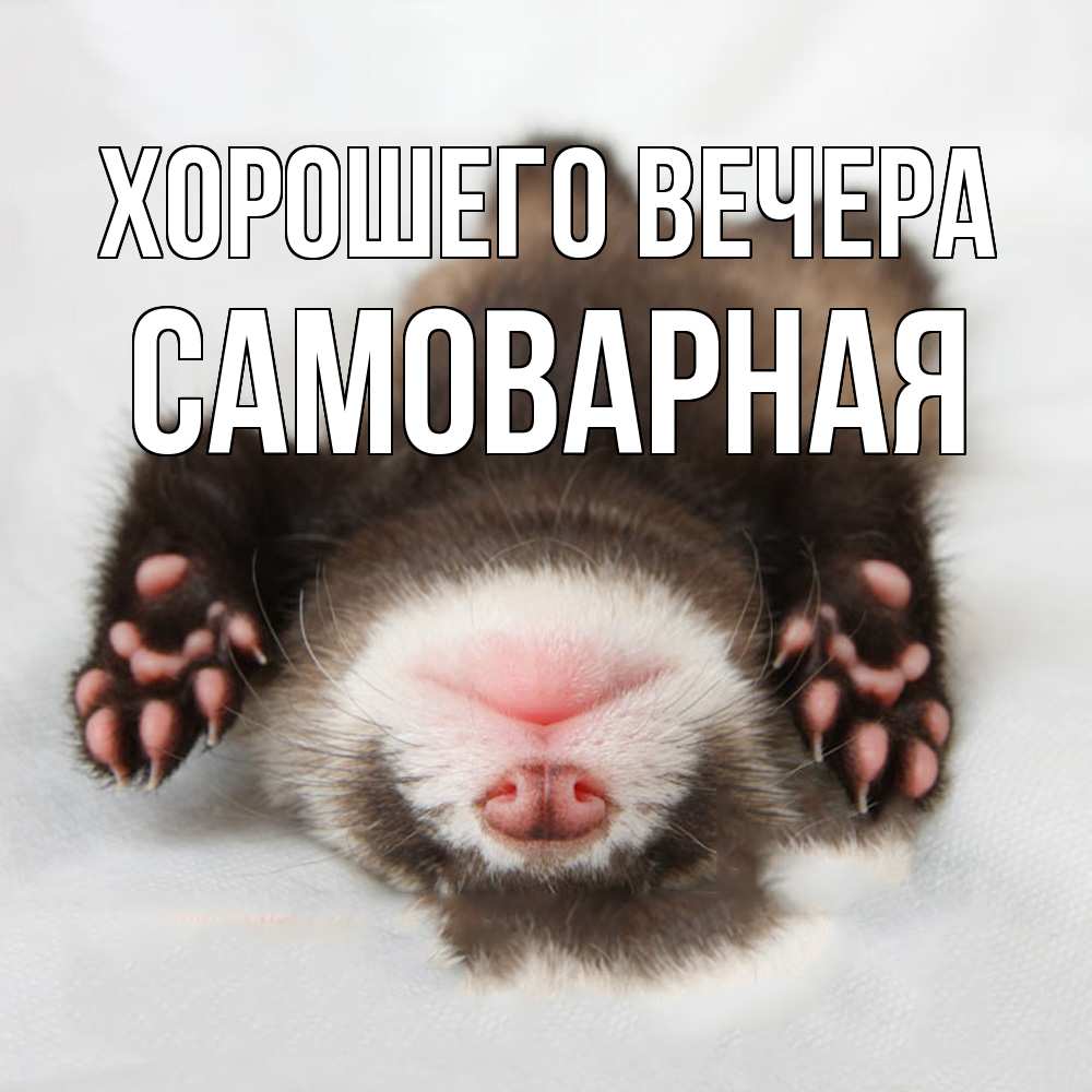 Открытка  для любимых и родных. самоварная, Хорошего вечера  