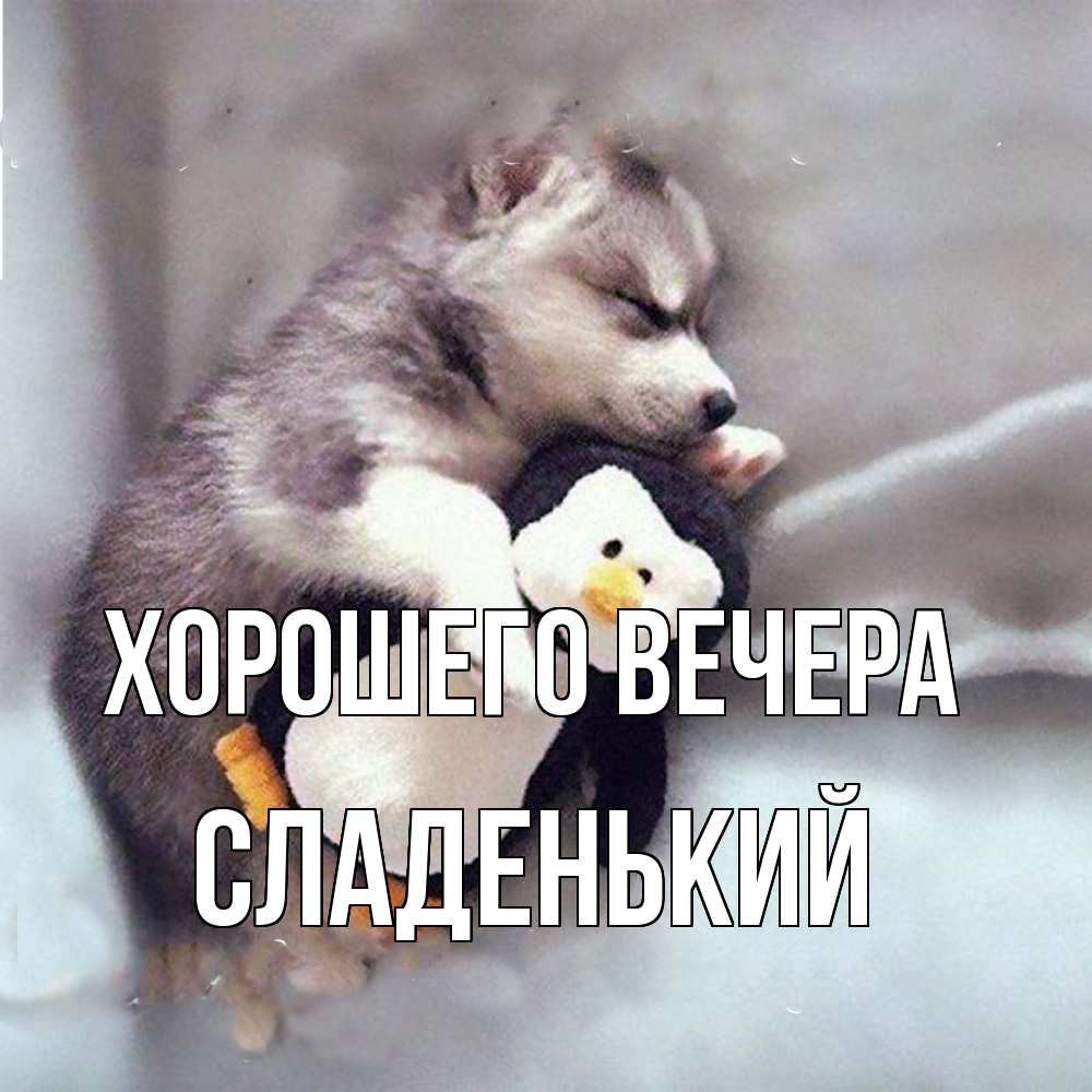 Открытка  для любимых и родных. сладенький, Хорошего вечера  