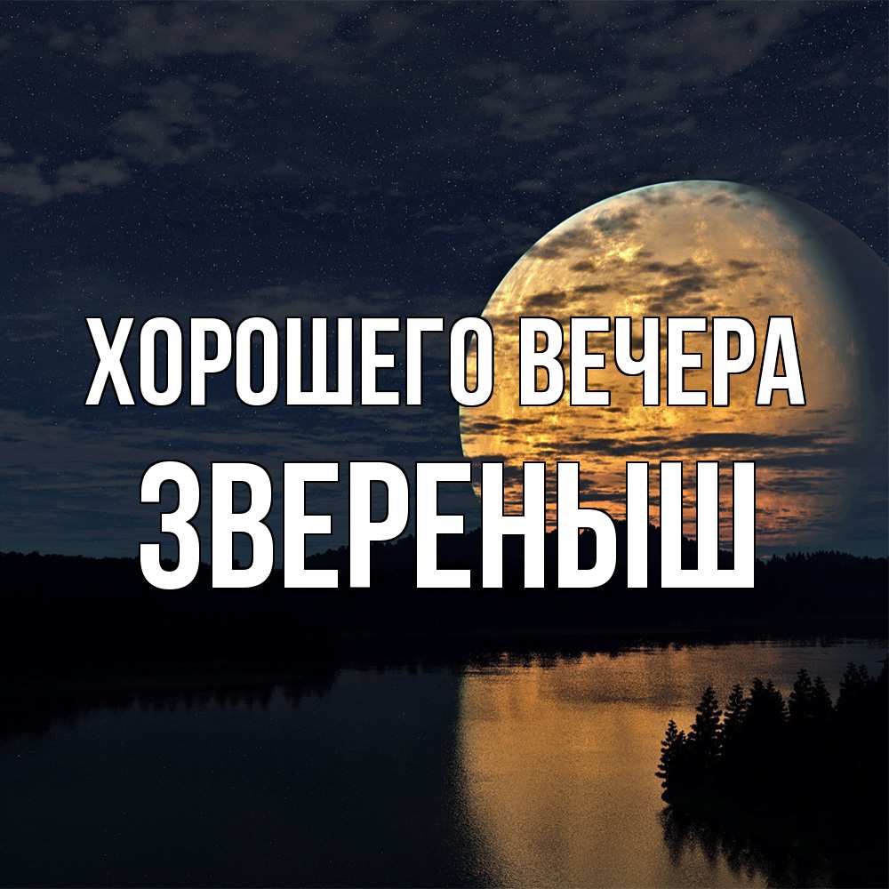 Открытка  для любимых и родных. звереныш, Хорошего вечера  
