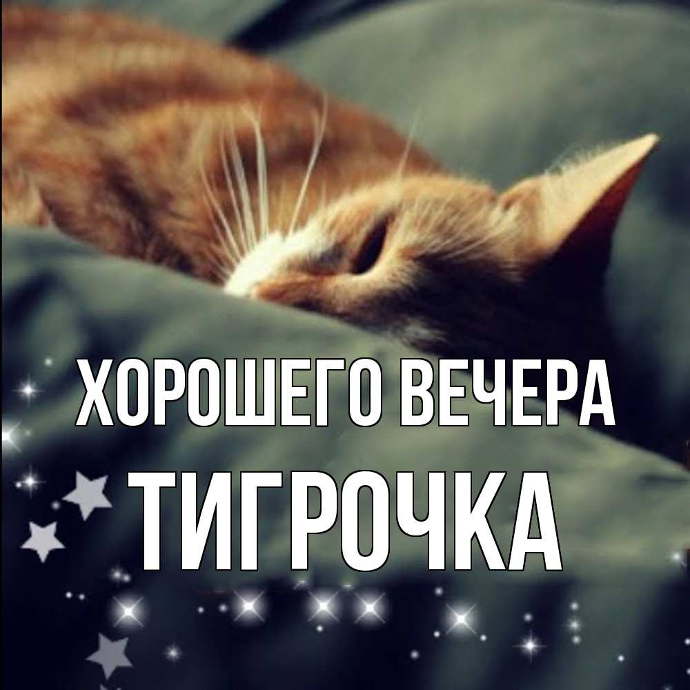 Открытка  для любимых и родных. тигрочка, Хорошего вечера  