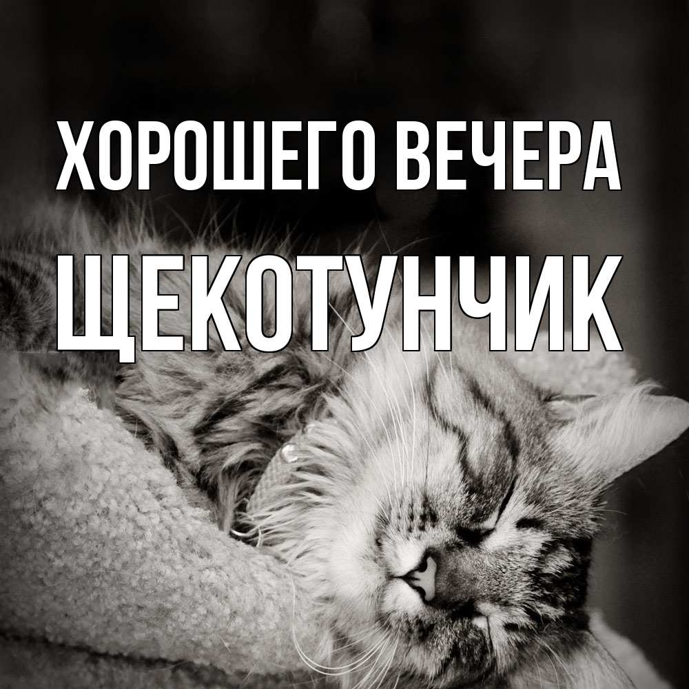 Открытка  для любимых и родных. щекотунчик, Хорошего вечера  