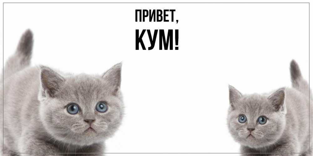 Открытка  для любимых и родных. Кум, Привет  