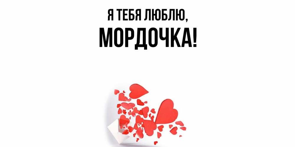 Открытка  для любимых и родных. мордочка, Я тебя люблю  