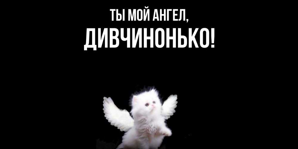Открытка  для любимых и родных. дивчинонько, Ты мой ангел  
