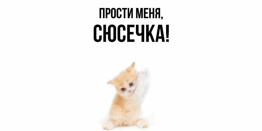 Открытка  для любимых и родных. сюсечка, Прости меня  