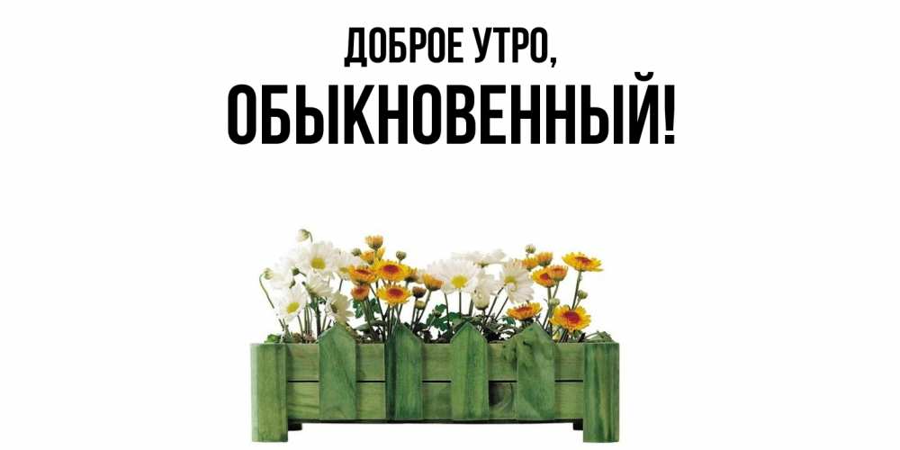 Картинка Доброе утро, обыкновенный