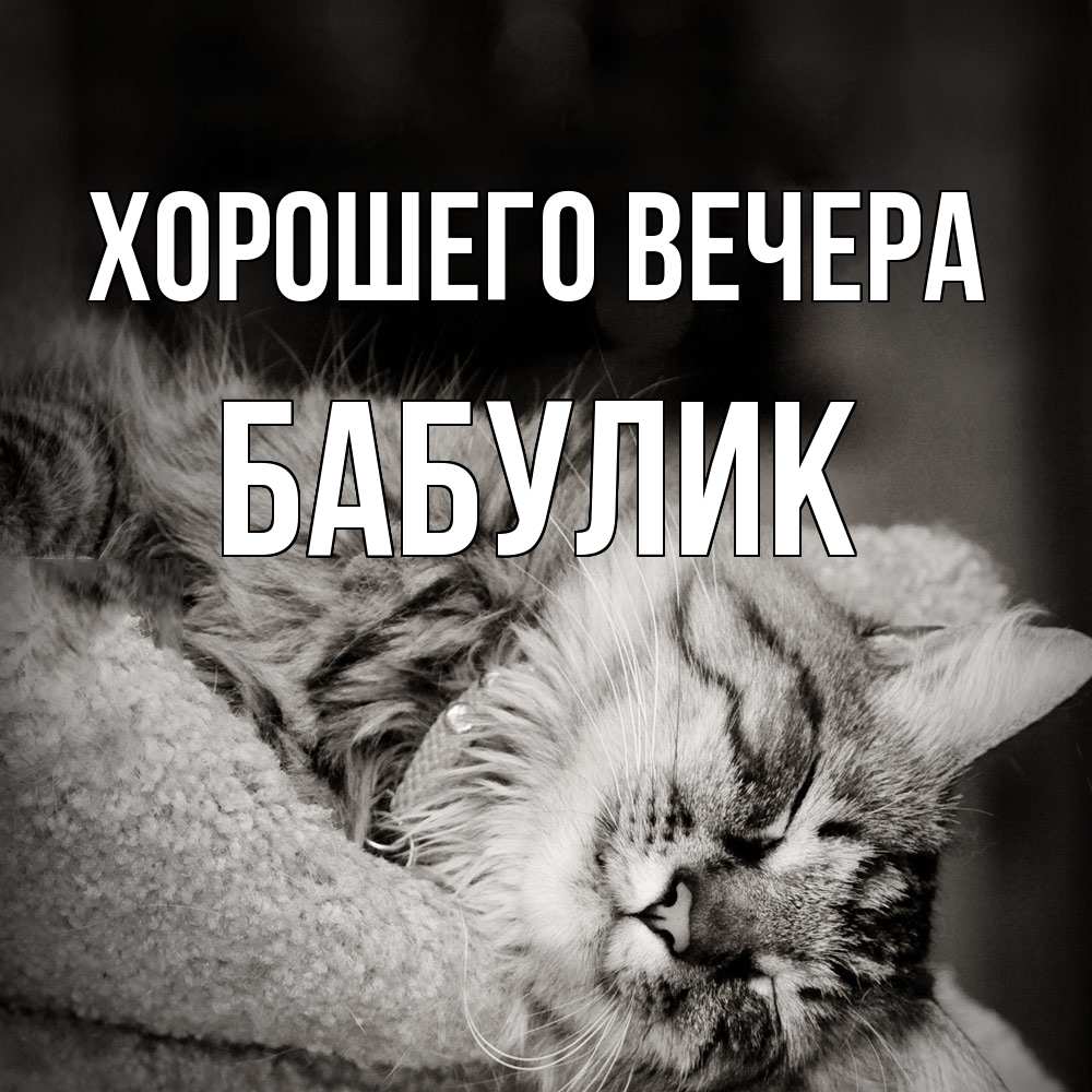 Открытка  для любимых и родных. бабулик, Хорошего вечера  