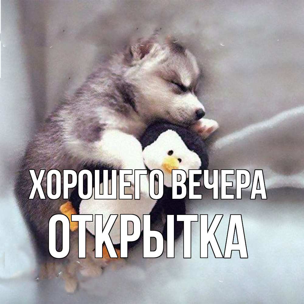 Картинка Хорошего вечера, открытка