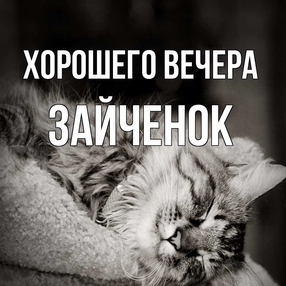 Картинка Хорошего вечера, Зайченок