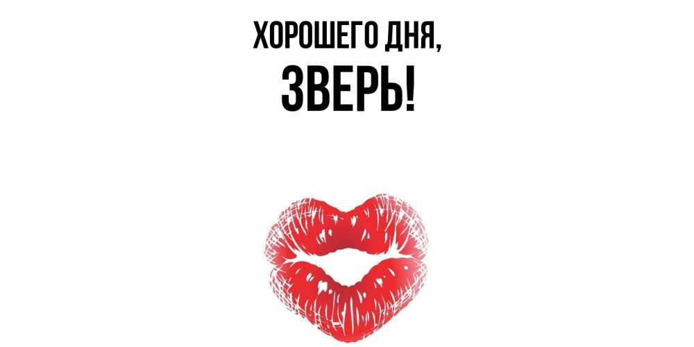 Открытка  для любимых и родных. зверь, Хорошего дня  