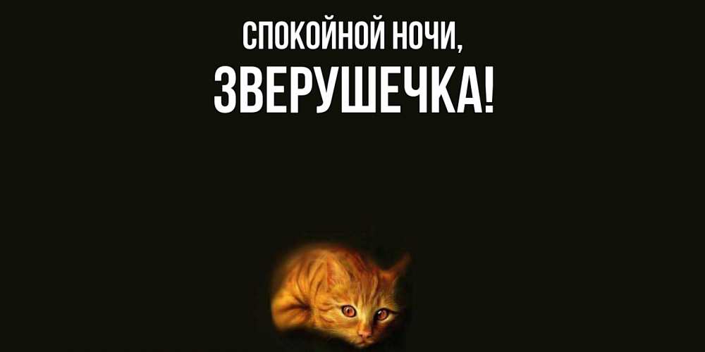 Открытка  для любимых и родных. зверушечка, Спокойной ночи  