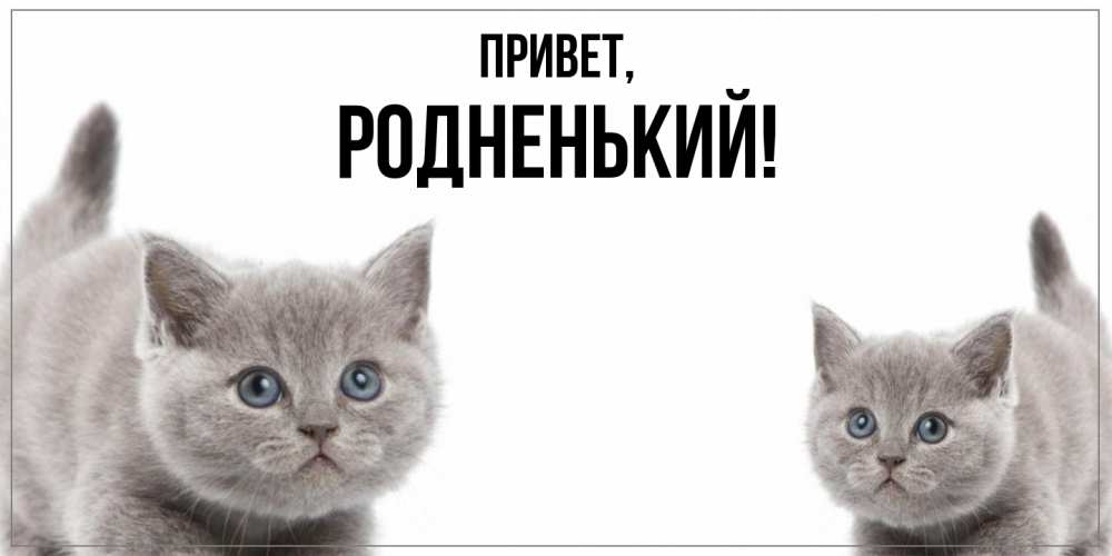 Открытка с именем, родненький, Привет