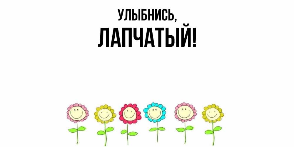 Открытка  для любимых и родных. лапчатый, Улыбнись  