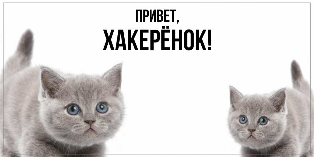 Открытка  для любимых и родных. хакерёнок, Привет  