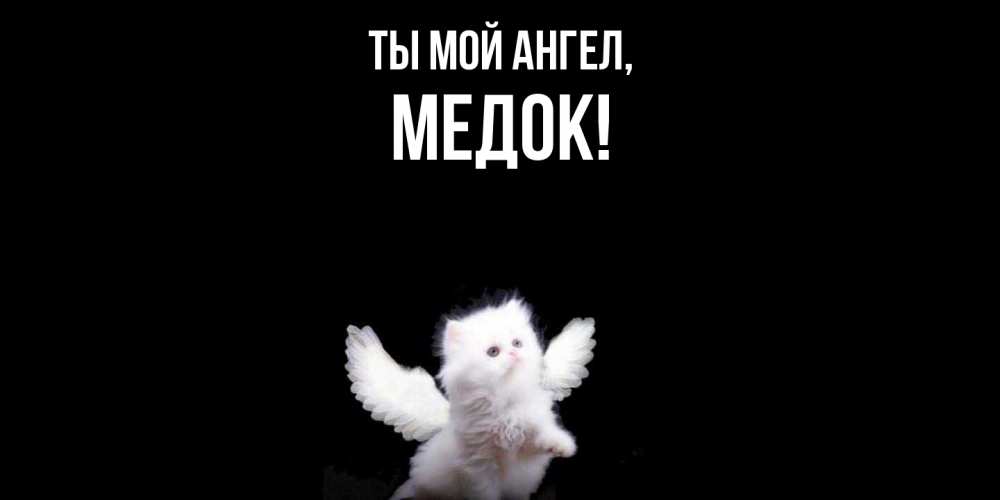 Открытка  для любимых и родных. медок, Ты мой ангел  