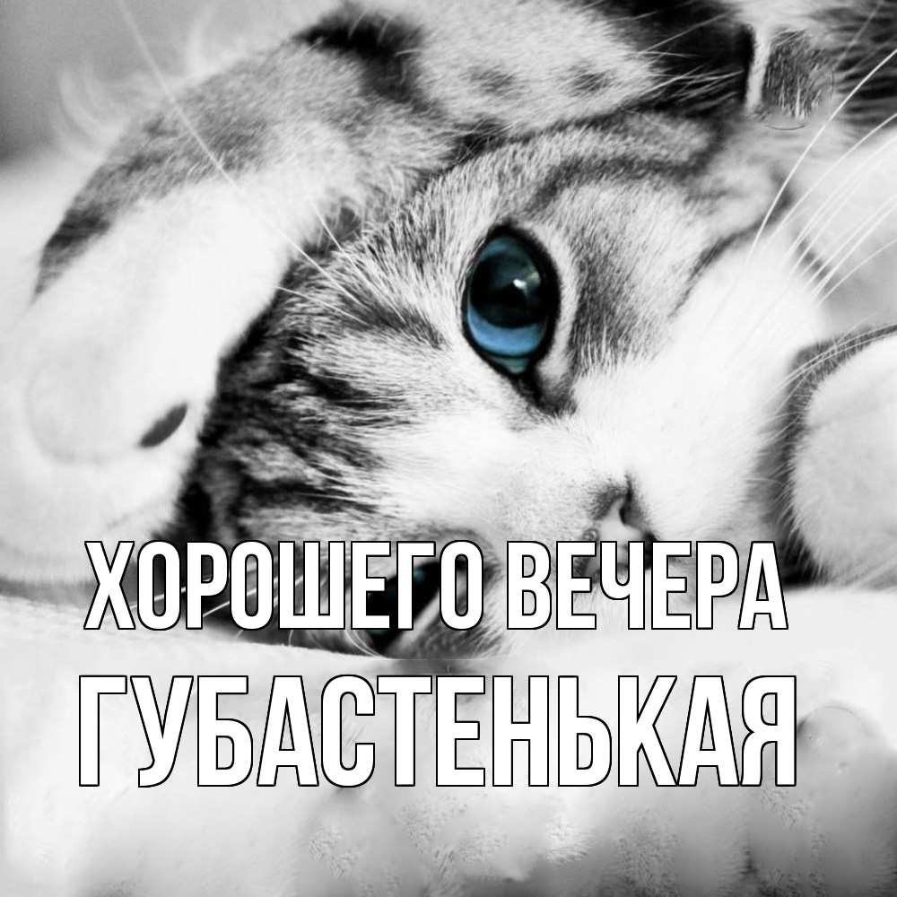 Картинка Хорошего вечера, губастенькая