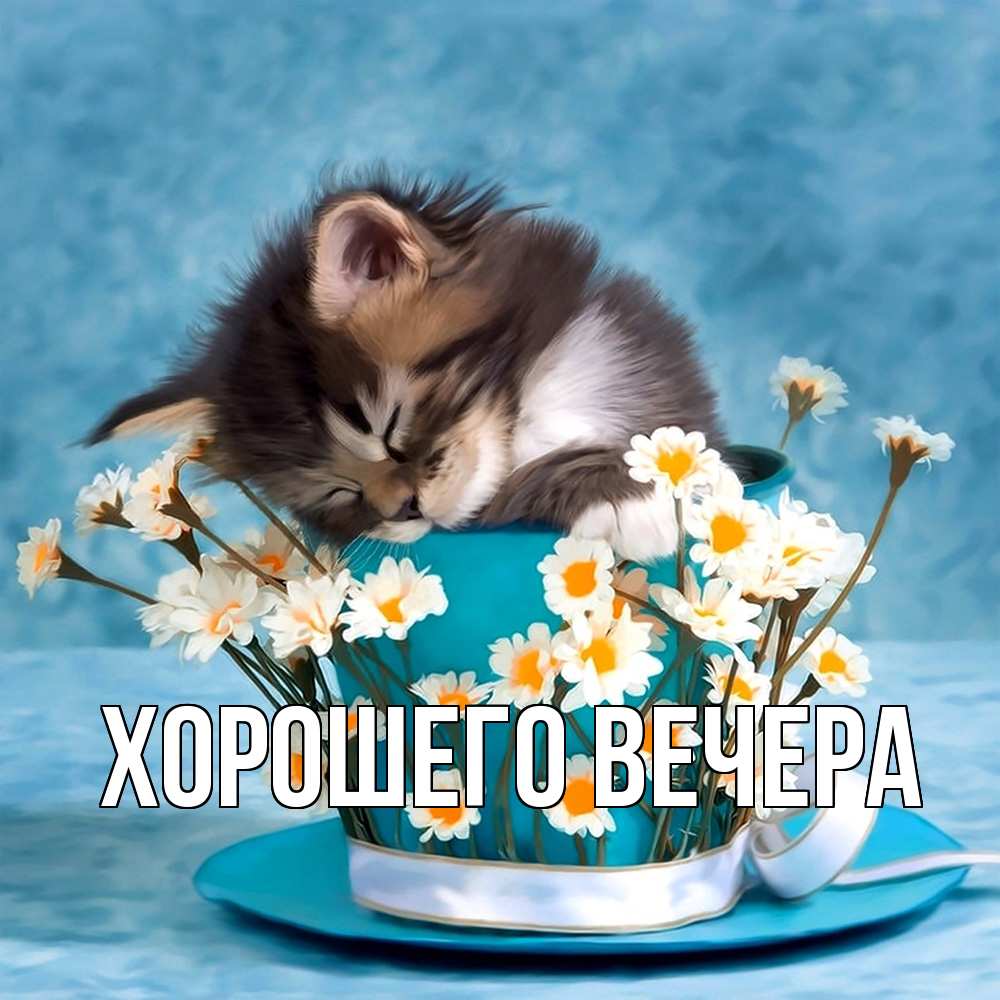 Открытка с подписью, открытка-бесплатно, Хорошего вечера