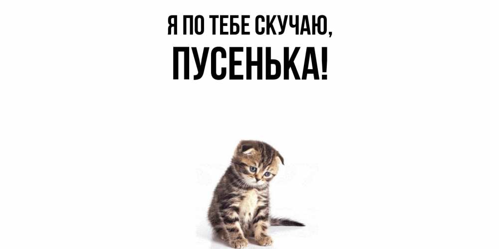 Картинка Я по тебе скучаю, пусенька