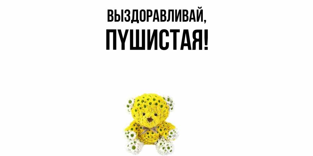 Открытка  для любимых и родных. пyшистая, Выздоравливай  