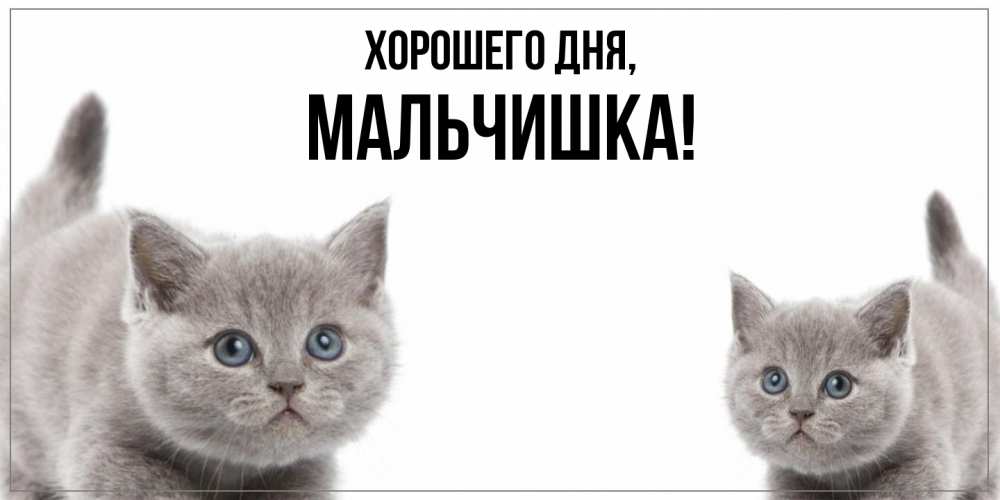 Открытка  для любимых и родных. мальчишка, Хорошего дня  