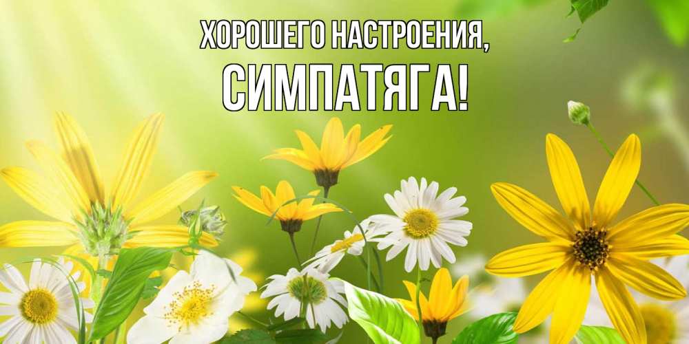 Картинка Хорошего настроения, симпатяга