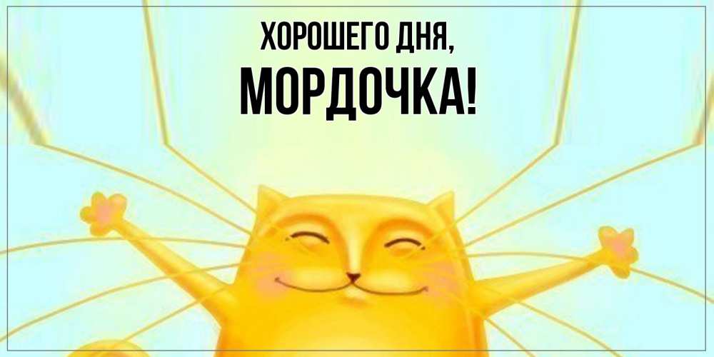 Открытка  для любимых и родных. мордочка, Хорошего дня  