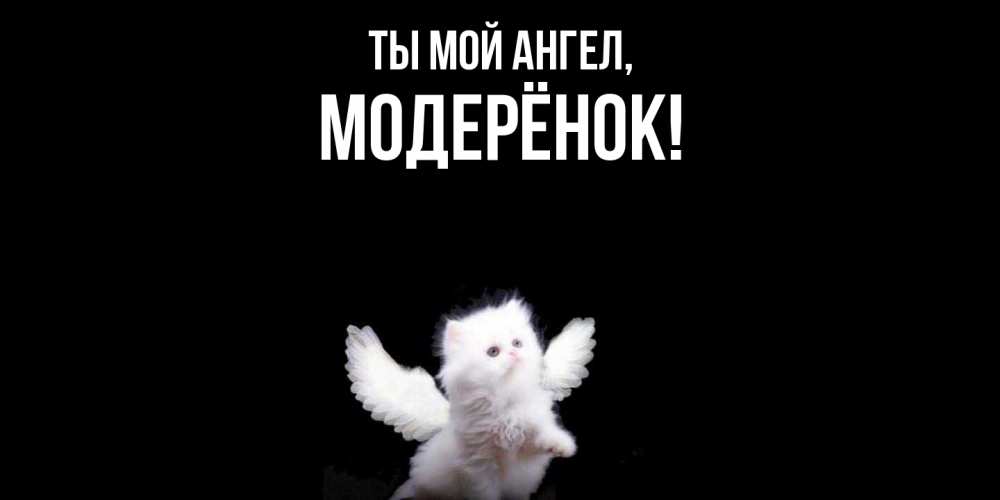 Открытка  для любимых и родных. модерёнок, Ты мой ангел  