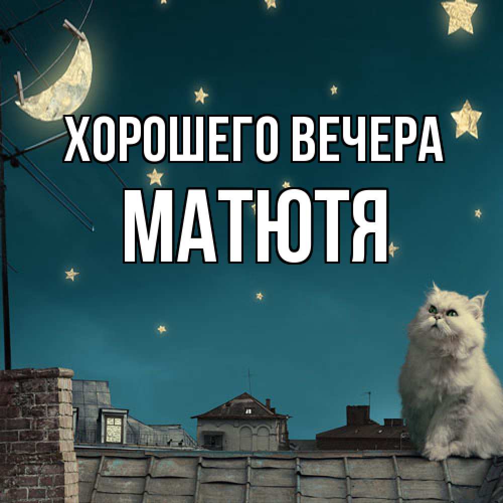 Открытка  для любимых и родных. матютя, Хорошего вечера  