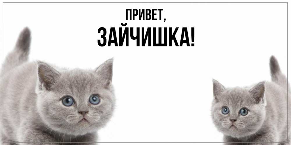 Открытка  для любимых и родных. зайчишка, Привет  