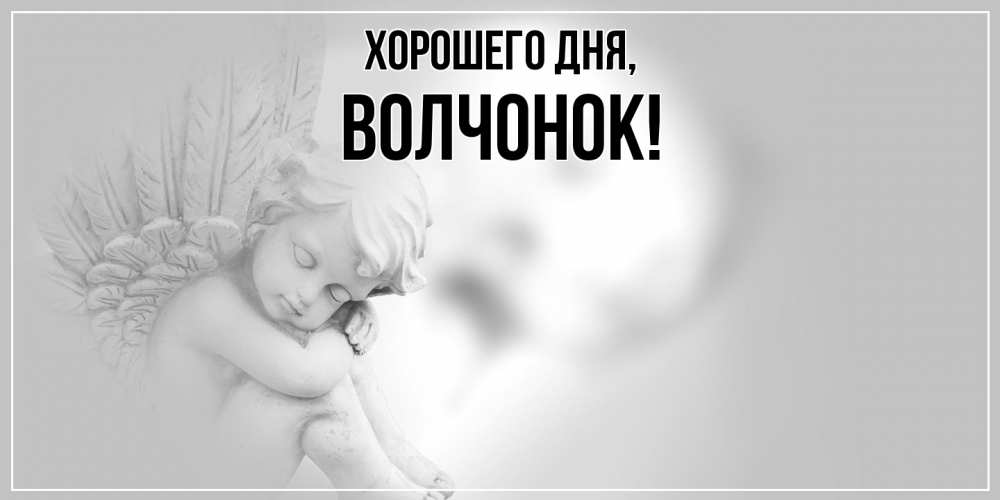 Открытка  для любимых и родных. волчонок, Хорошего дня  
