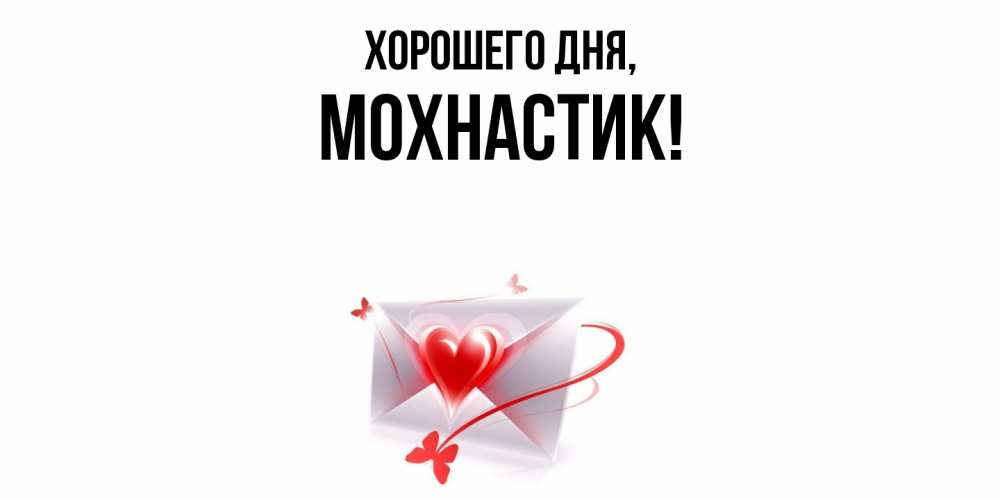 Открытка  для любимых и родных. мохнастик, Хорошего дня  