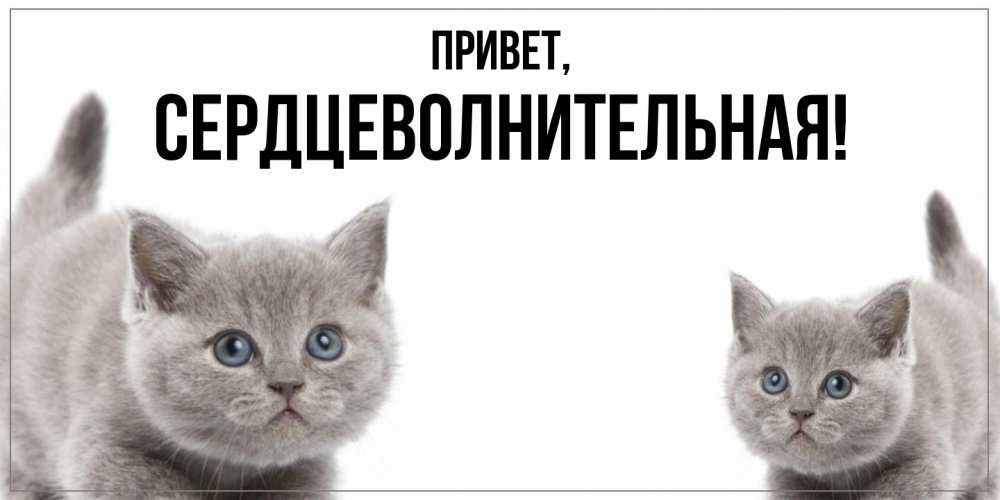 Открытка  для любимых и родных. сердцеволнительная, Привет  